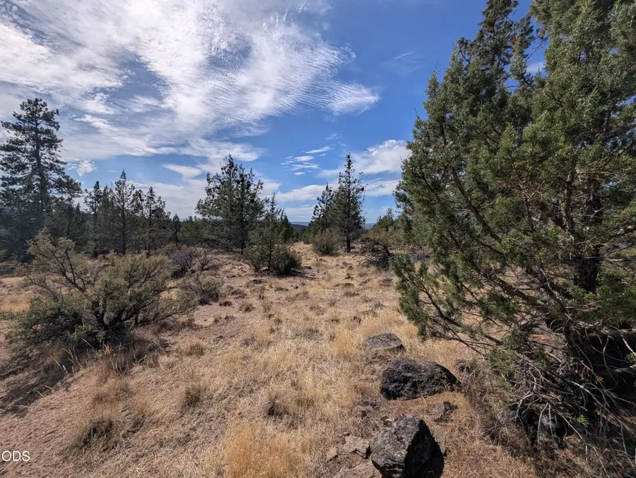 Widgeon Drive #12, Bonanza, OR 97623 - #3