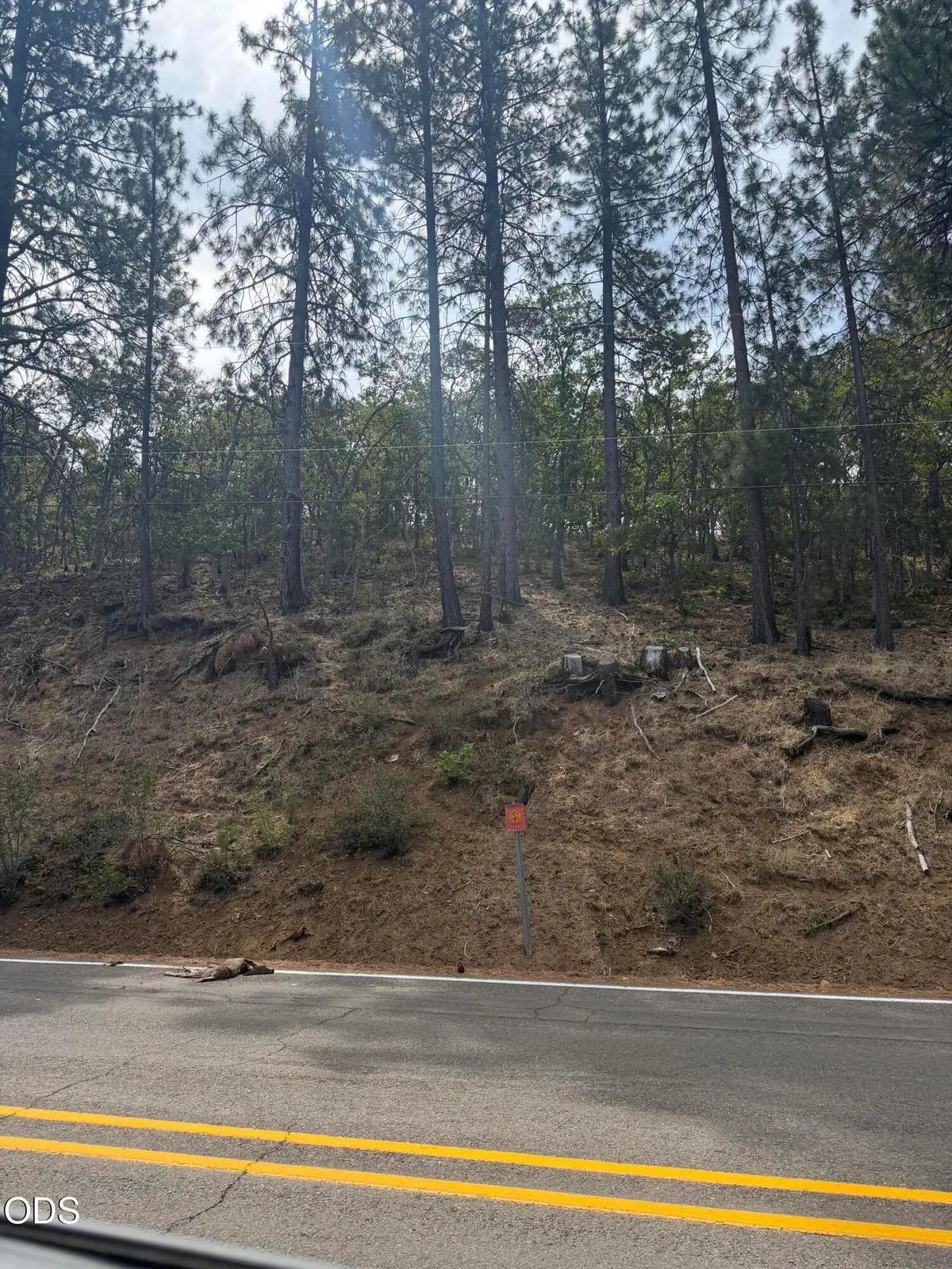 13099 Old Hwy 99 S, Ashland, OR 97520 - #1
