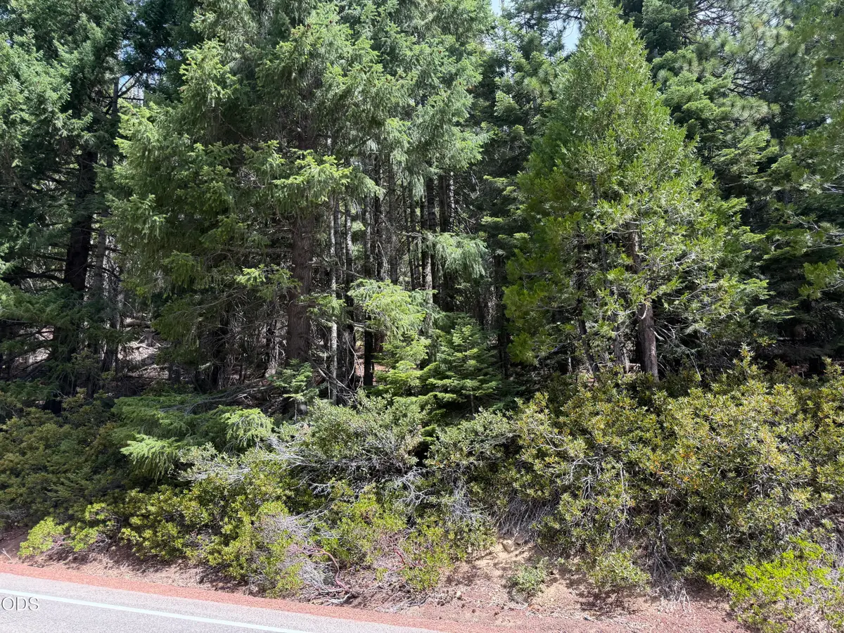 Mt Ashland Ski Road, Ashland, OR 97520 - #1