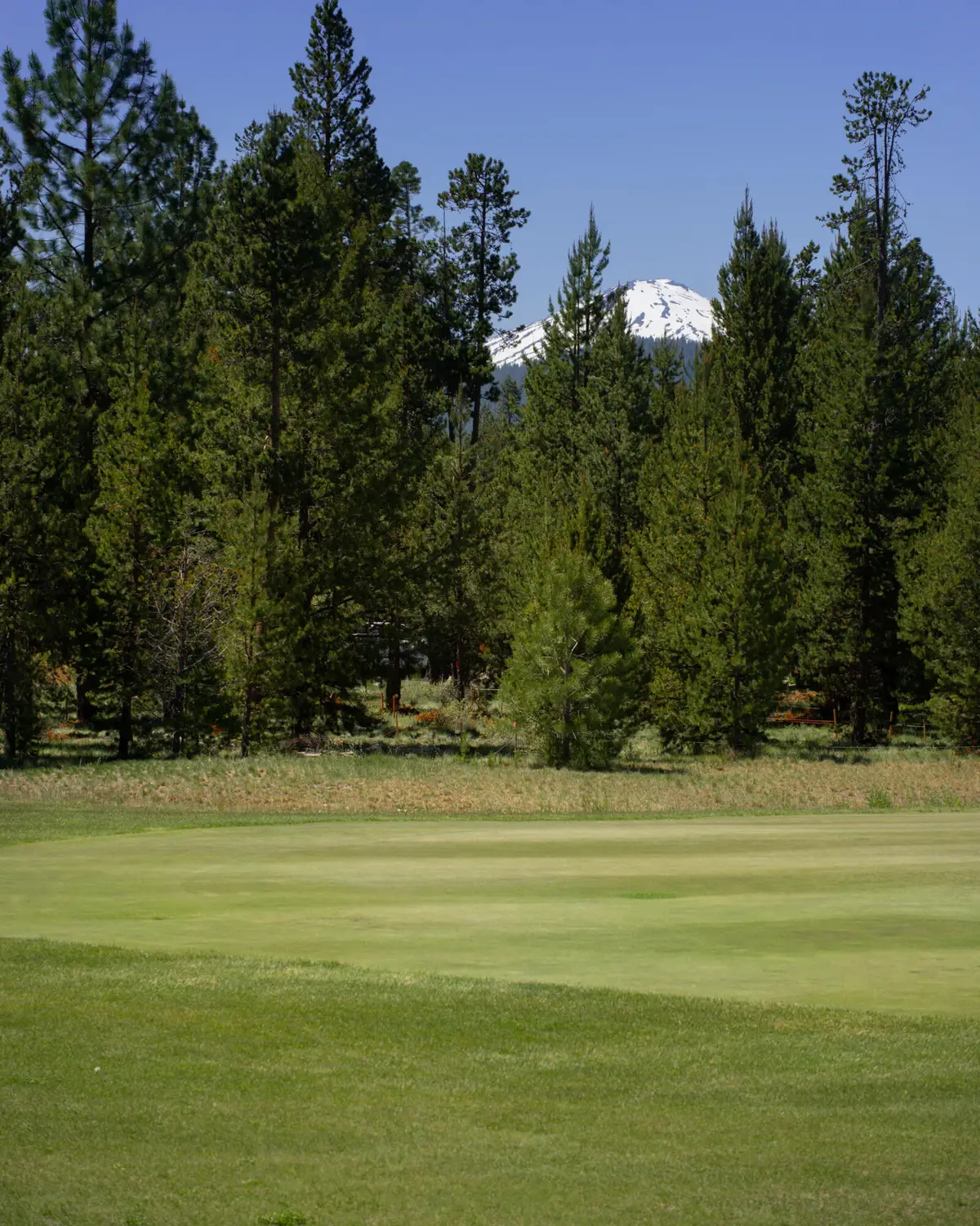56691 Glowstone Loop, Bend, OR 97707 - #1