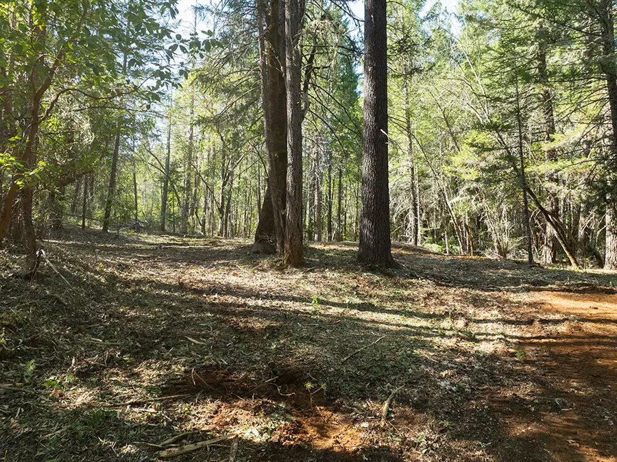 12060 Redwood Highway, Wilderville, OR 97543 - #2