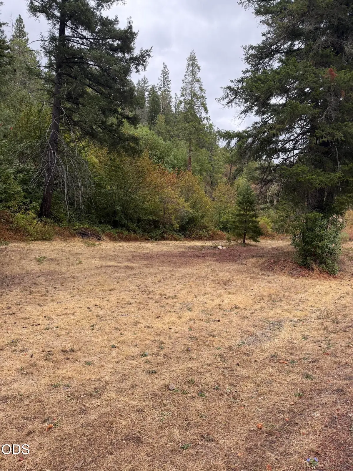 Ulrich Road, Prospect, OR 97536 - #1