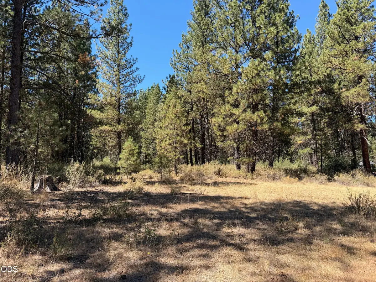 0 Mystic Way #Lot 40, Klamath Falls, OR 97601 - #1