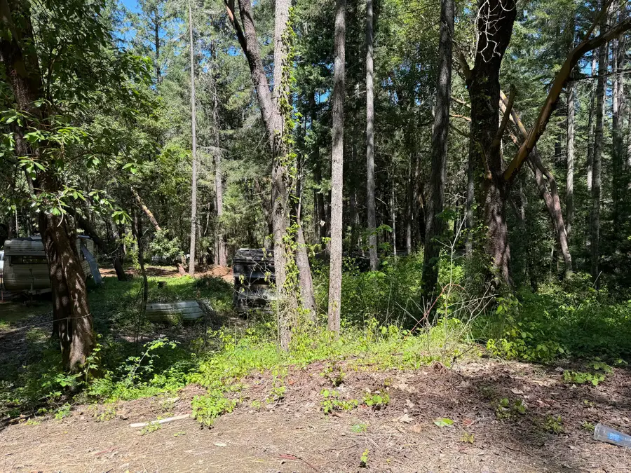 Sunny Valley Loop, Wolf Creek, OR 97497 - #2