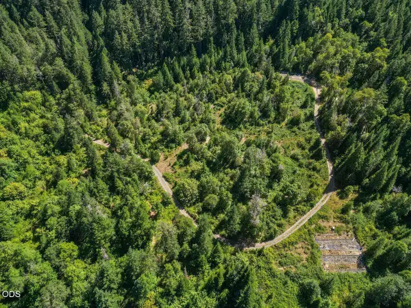 433 Old Stage Road, Wolf Creek, OR 97497
