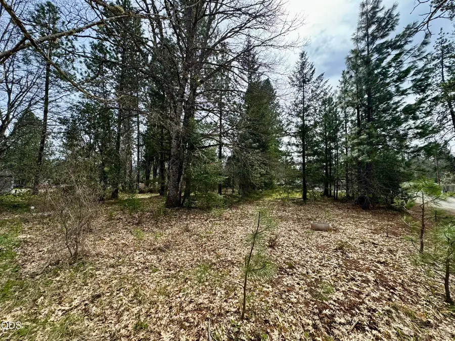 731 N Old Stage Road, Cave Junction, OR 97523 - #3