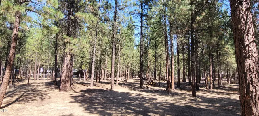 52117 Foxtail Road, La Pine, OR 97739 - #2