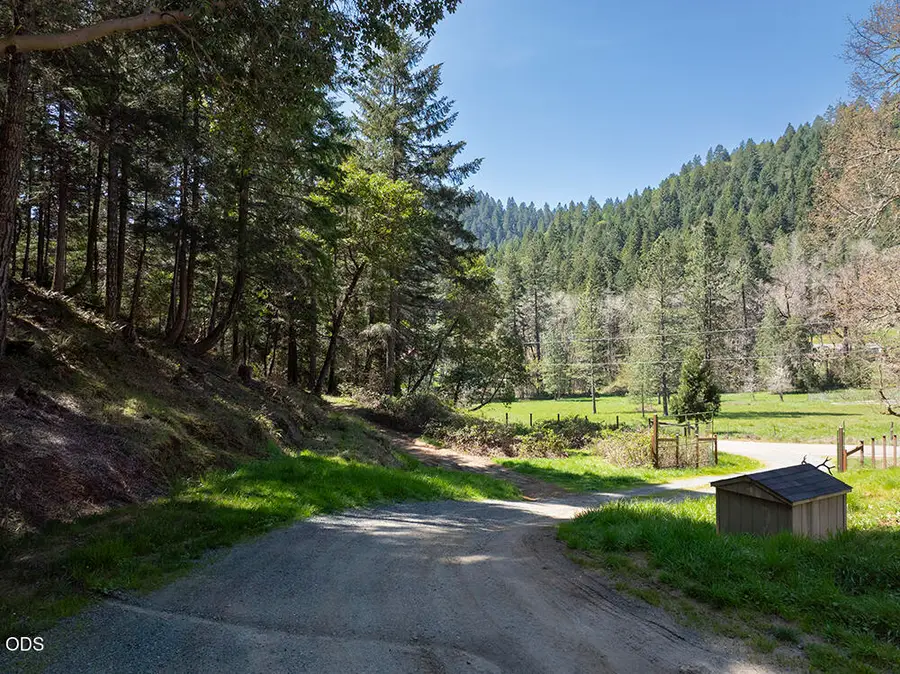740 Warner Road, Wolf Creek, OR 97497 - #3