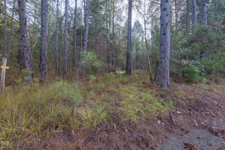 Old Stage, Wolf Creek, OR 97497 - #3