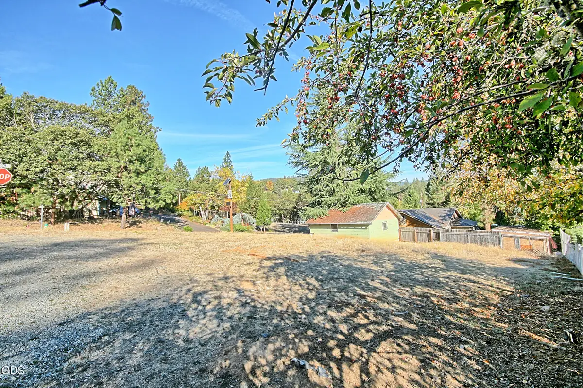 Applegate Street #2700, Jacksonville, OR 97530 - #1
