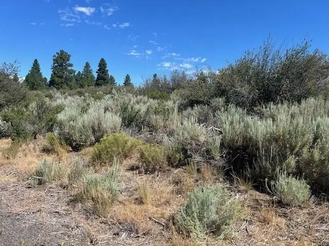 Wrightwood #Lot 16, Chiloquin, OR 97624 - #1