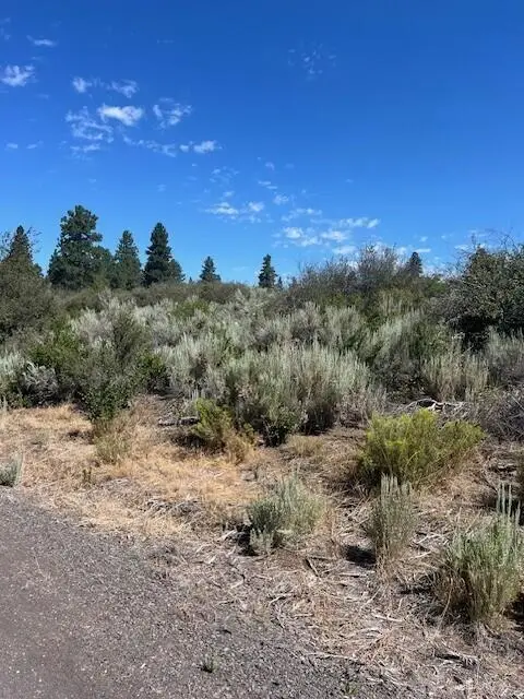 Wrightwood #Lot 16, Chiloquin, OR 97624 - #2