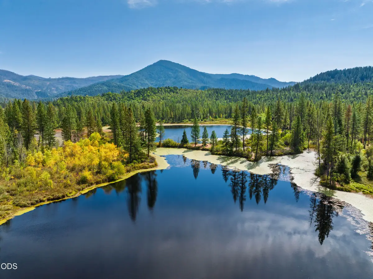 4990 Waldo Road, Cave Junction, OR 97523 - #1