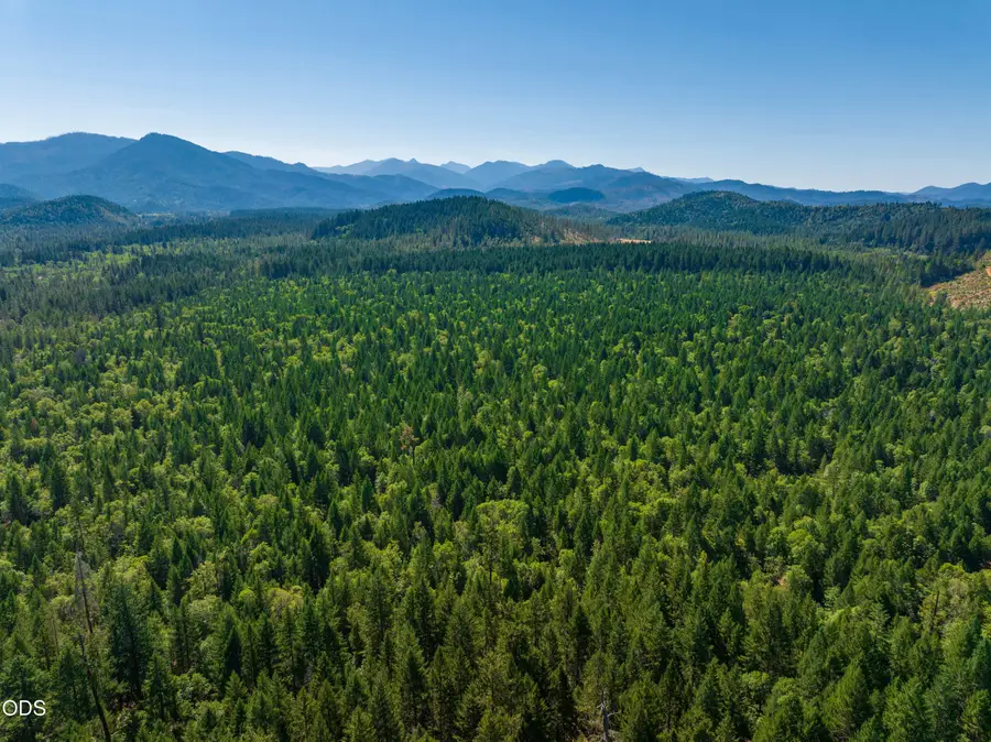 0 Sherier Road, Cave Junction, OR 97523 - #2