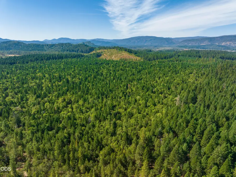 0 Sherier Road, Cave Junction, OR 97523 - #3