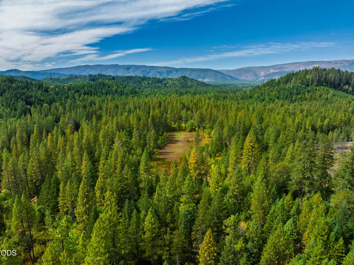Waldo Road, Cave Junction, OR 97523 - #1