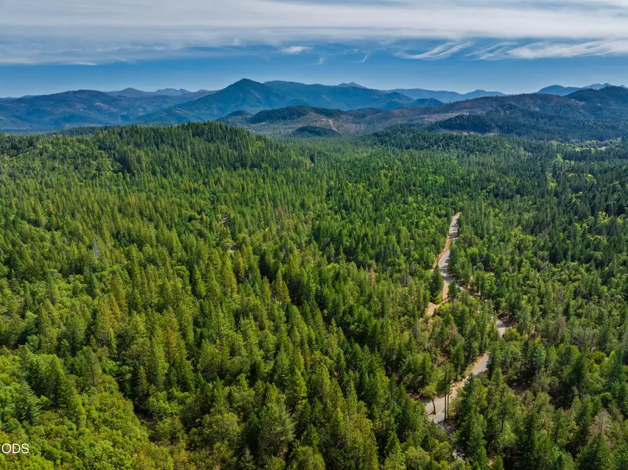 Waldo Road, Cave Junction, OR 97523 - #3
