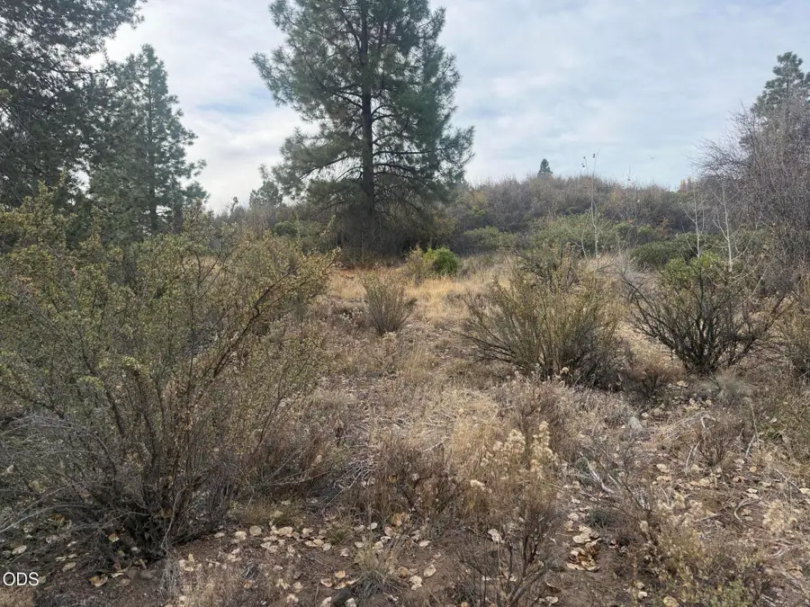 000 Forest View Drive, Chiloquin, OR 97624 - #3