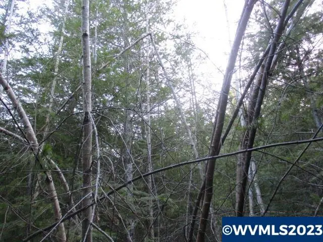 0 SE Harvey Rd, Estacada, OR 97023 - Image #2