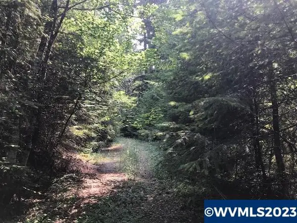 0  Nfd 305 Rd, Sweet Home, OR 97386