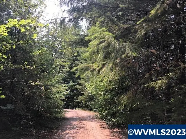 0  Nfd 305 Rd, Sweet Home, OR 97386 - Image #2