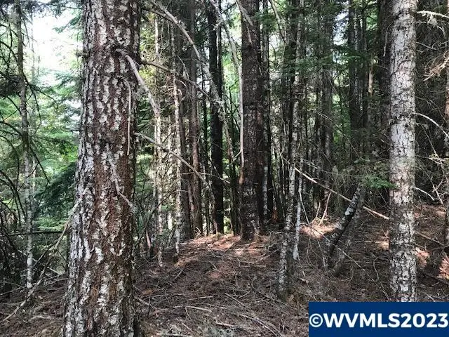 0  Nfd 305 Rd, Sweet Home, OR 97386 - Image #3