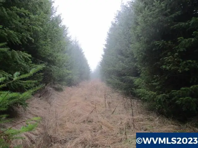 00  Buck Hollow Rd, Sheridan, OR 97378 - Image #1