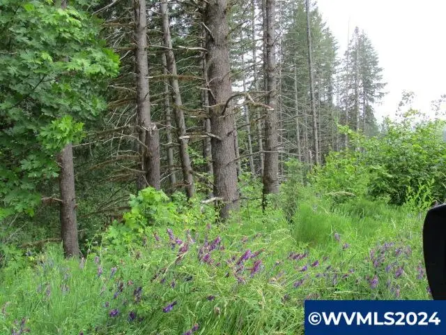 0 NW Fairdale Rd, Yamhill, OR 97148 - Image #1