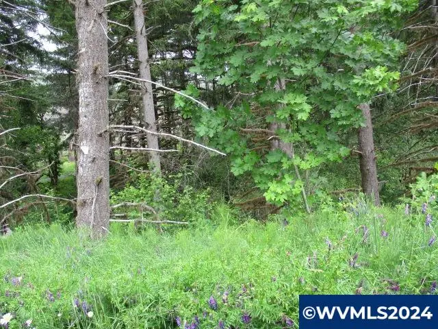 0 NW Fairdale Rd, Yamhill, OR 97148 - Image #3