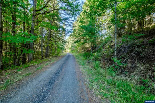 609  Coastal View (Land Next To) Dr, Philomath, OR 97370