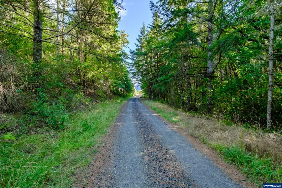 609  Coastal View (Land Next To) Dr, Philomath, OR 97370 - Image #2