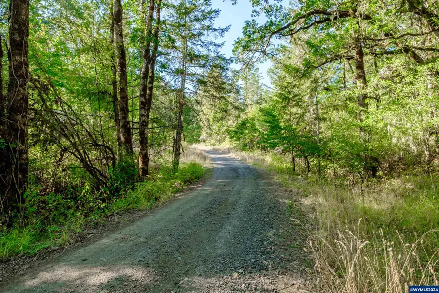 609  Coastal View (Land Next To) Dr, Philomath, OR 97370 - Image #3
