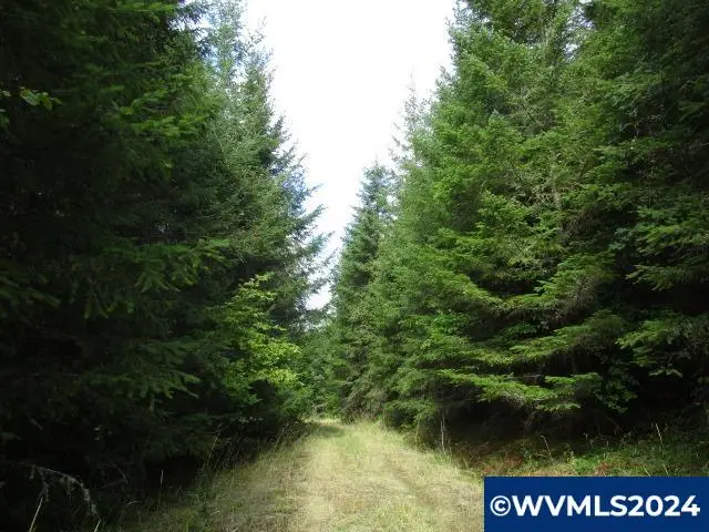0  Belinger Scale (1) Rd, Lebanon, OR 97355 - Image #1