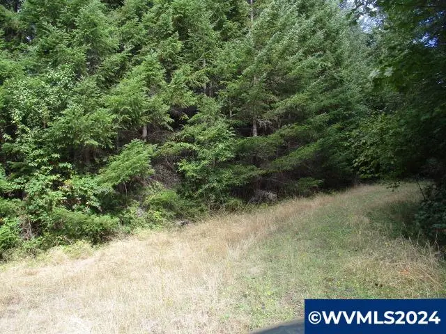 0  Belinger Scale (1) Rd, Lebanon, OR 97355 - Image #2