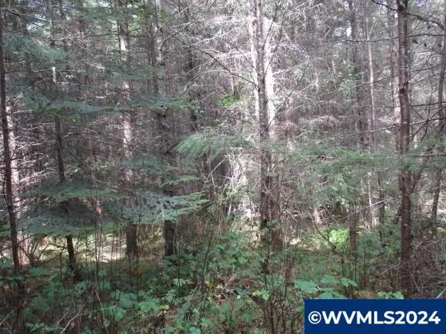0  Belinger Scale (1) Rd, Lebanon, OR 97355 - Image #3