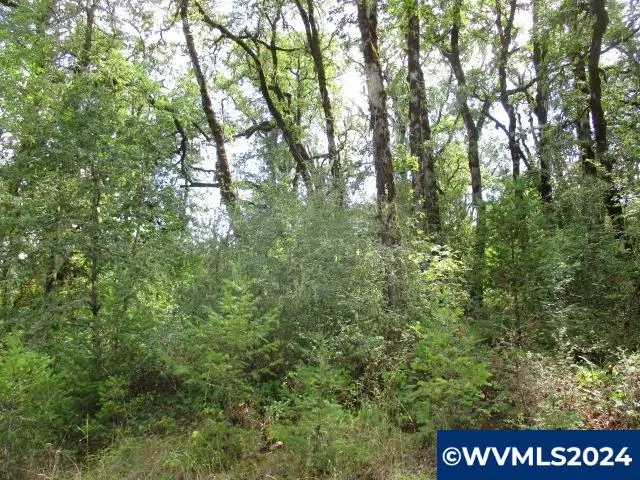 00  Bellinger Scale (2) Rd, Lebanon, OR 97355 - Image #2