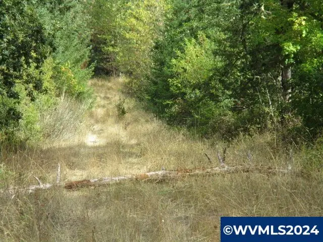 00  Bellinger Scale (2) Rd, Lebanon, OR 97355 - Image #3