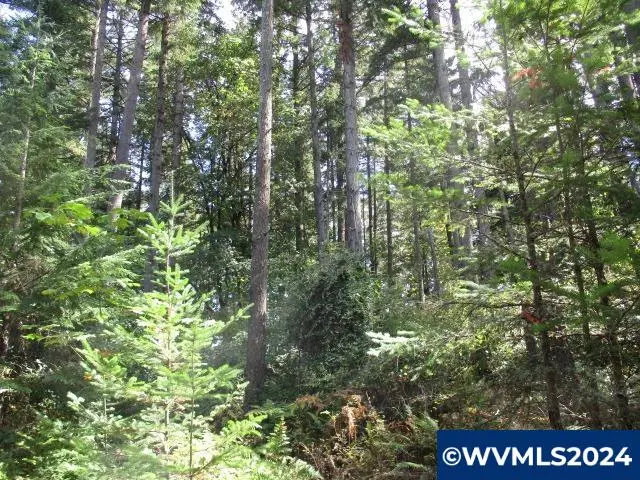 000  Bellinger Scale (3) Rd, Lebanon, OR 97355 - Image #1