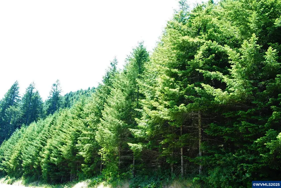 000  Kings Valley Hwy, Monmouth, OR 97361 - Image #3