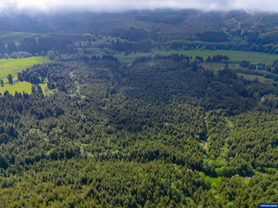 0  Elmer Miller Rd, Siletz, OR 97380 - Image #3