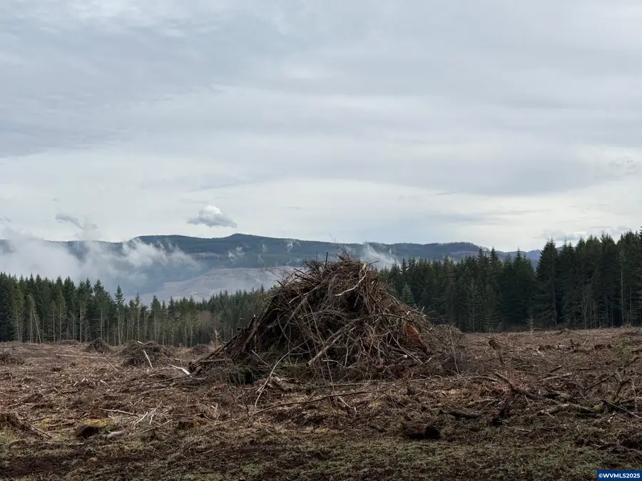 00 S Hardy Rd, Molalla, OR 97038 - Image #2