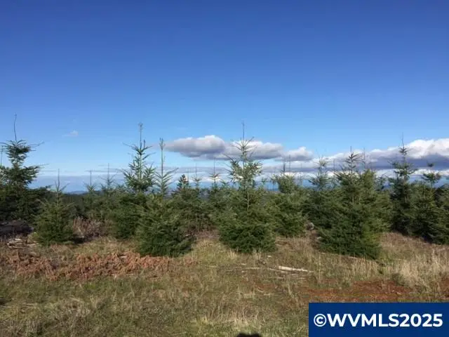 Oakdale Rd, Dallas, OR 97338 - Image #2