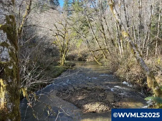 0  Steer Creek Rd, Blodgett, OR 97326 - Image #1