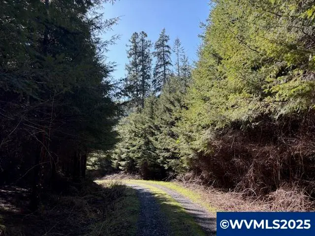 0  Steer Creek Rd, Blodgett, OR 97326 - Image #2