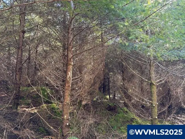 0  Steer Creek Rd, Blodgett, OR 97326 - Image #3