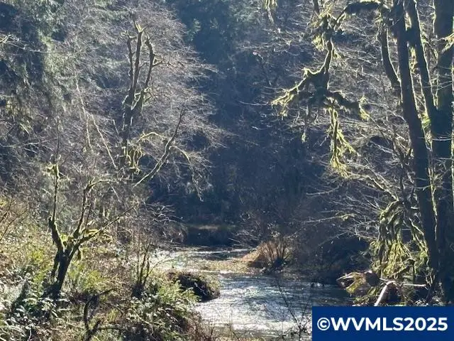 0  Logsden Rd, Blodgett, OR 97326 - Image #1