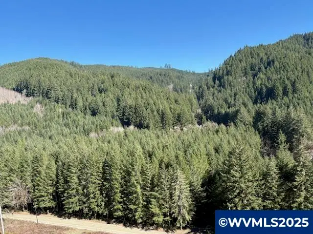 0  Logsden Rd, Blodgett, OR 97326 - Image #2