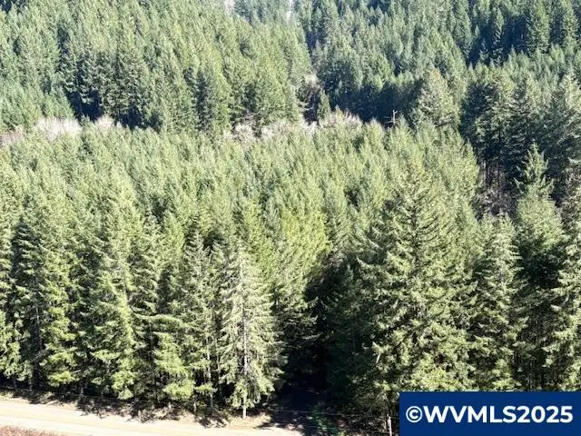 0  Logsden Rd, Blodgett, OR 97326 - Image #3