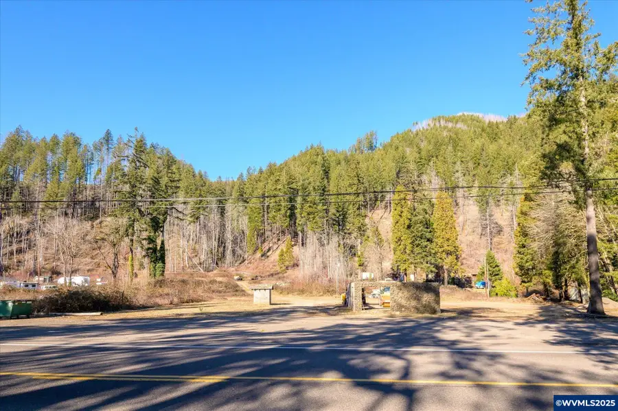 49669  McKenzie Hwy, Vida, OR 97488 - #3