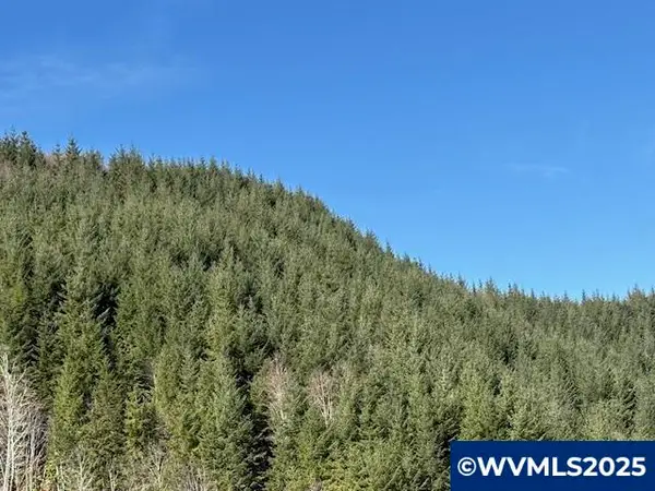 000  Logsden Rd, Blodgett, OR 97326